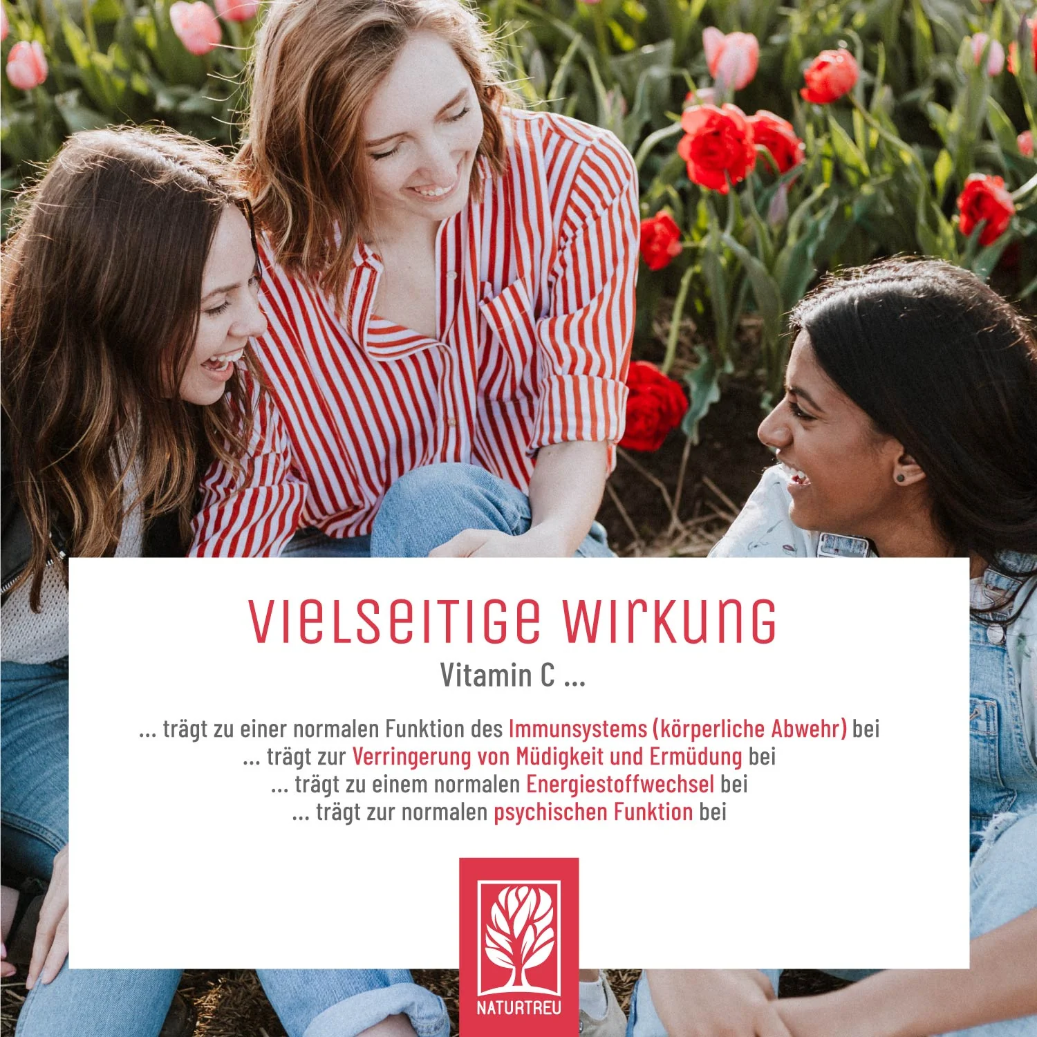 Beerenkönig Kapseln - Image 5